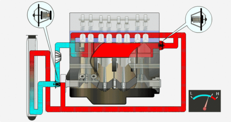 1717057074845.jpg 1717057074845.jpg